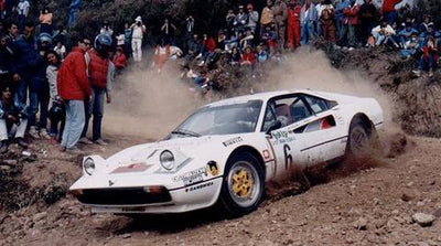 10 Most Ridiculous Cars Ever Rallied
