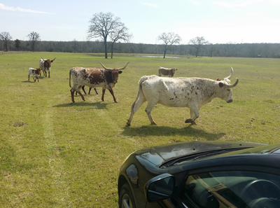 How to buy a ranch with $236